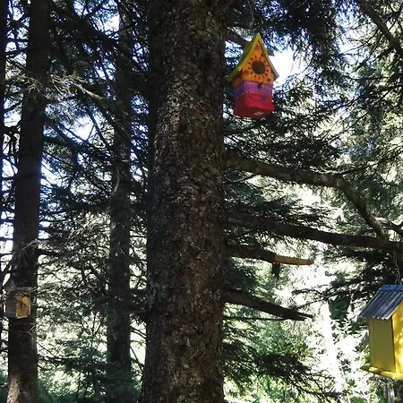 Haus Primula Pizol Privatunterkunft