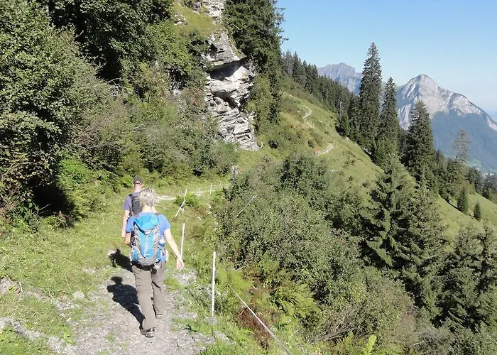 Haus Primula Pizol Wangs