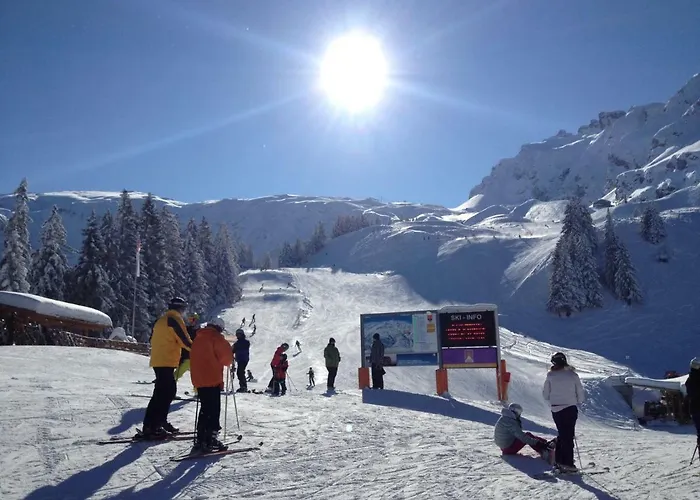 Haus Primula Pizol 民宿 *